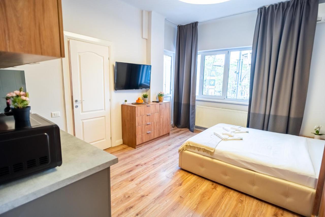 Cozy Apartments Near Calea Victoriei 부쿠레슈티 외부 사진