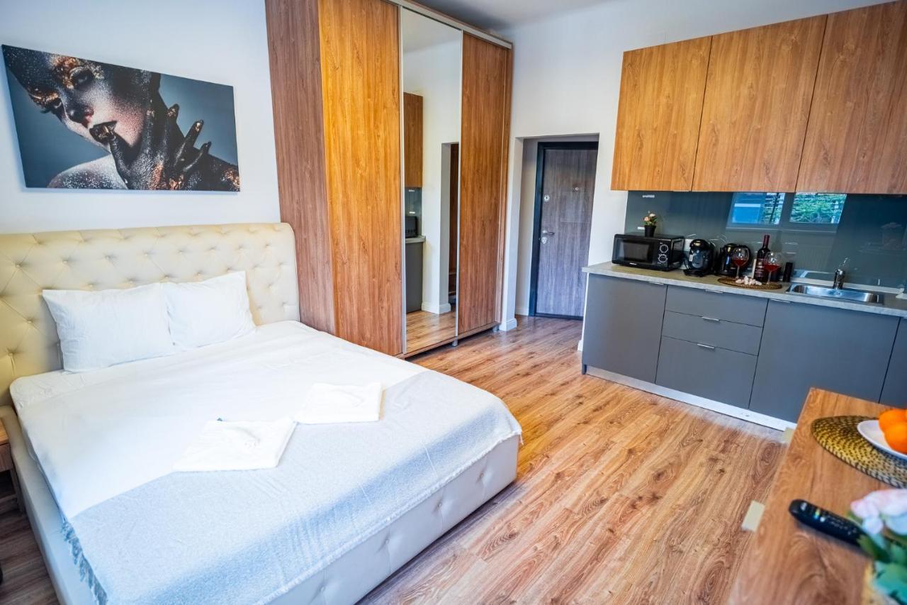 Cozy Apartments Near Calea Victoriei 부쿠레슈티 외부 사진